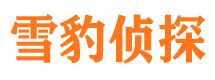 峨眉山市婚外情调查